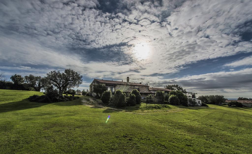 Villa Agriturismo Cerrosughero Canino Exterior foto